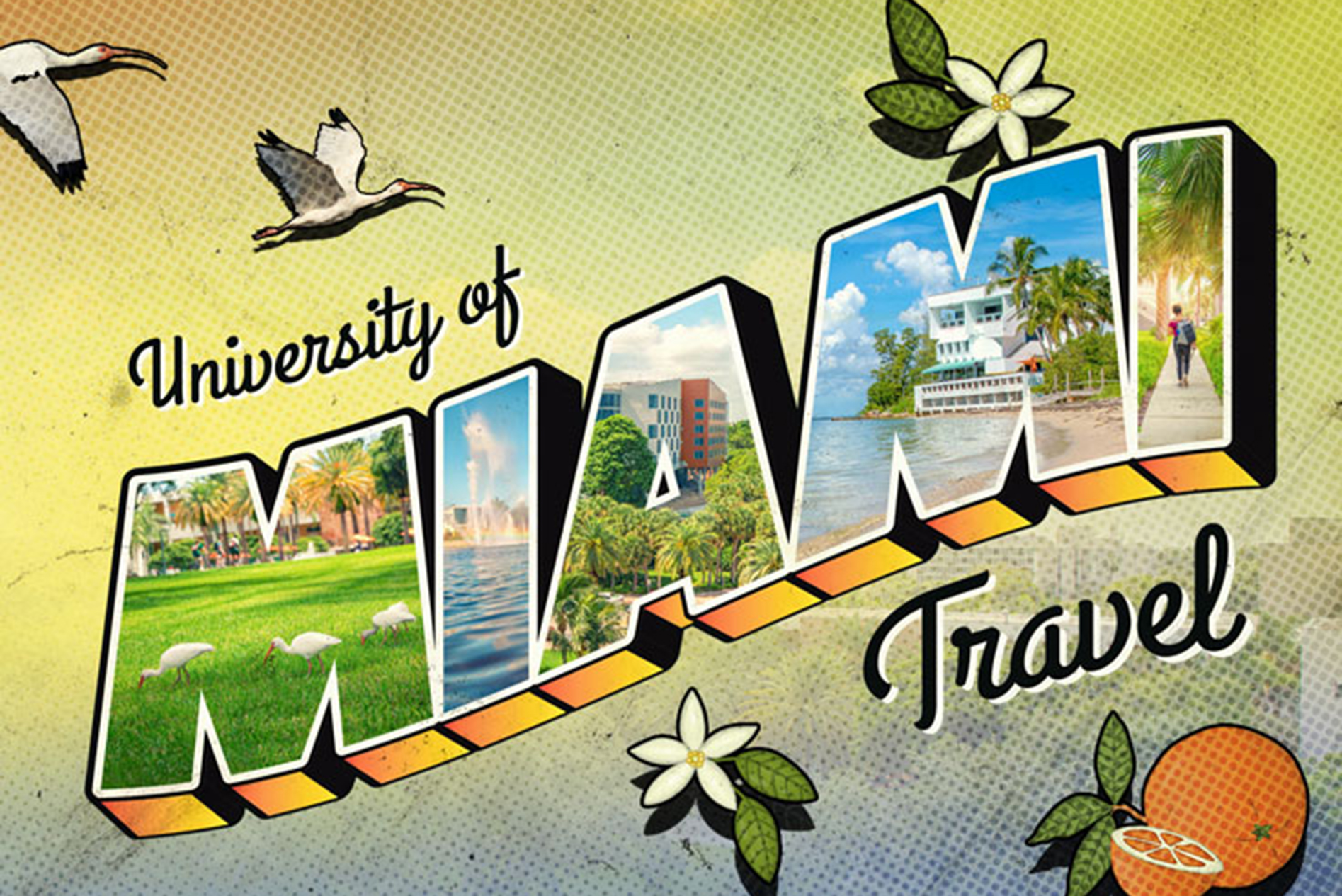 Logo of university of miami travel