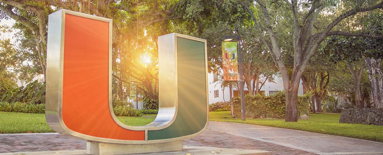 university of miami travel portal
